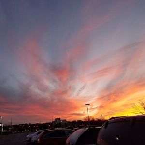 Meet your Posher, Sheila